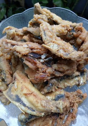 Foto resep Ikan sarden crispy (ikan kocing)