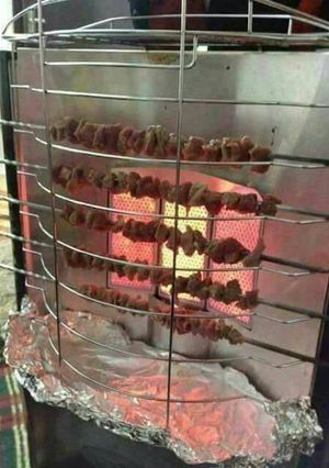صورة لوصفة لحم مشوي على الصوبة 🍖🍴🍗