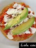 TINGA DE ZANAHORIA 🧡