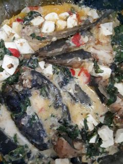 Foto resep Lele tahu santan kemangi