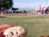 Muffins deliciosos con arándanos 😍
