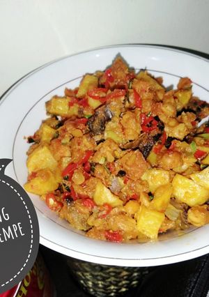 Foto resep Sambal goreng kentang ati ampela tempe