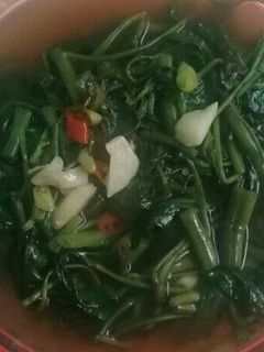Foto resep Cah Kangkung simple