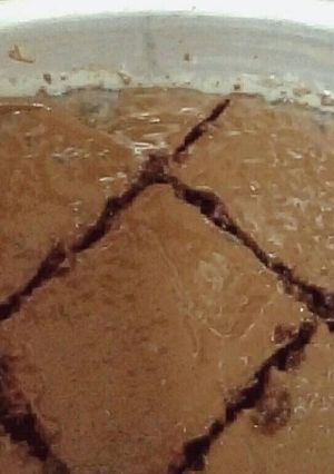 صورة لوصفة بسبوسة الجالكسي
