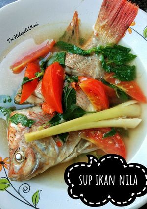 Foto resep Sup ikan nila