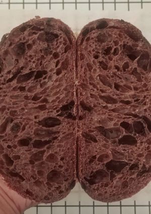 Foto resep Double Chocolate Sourdough Bread (74%)