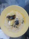 Sopa de mejillones y cau- cau
