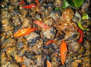 Foto resep Krengsengan Bekicot