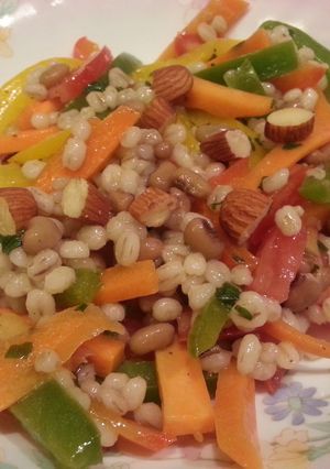 A picture of Barley bell peppers salad.