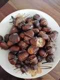 Castane coapte