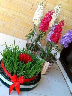 عکسی از دستور سبزه عید با دانه بلال (ذرت مکزیکی)