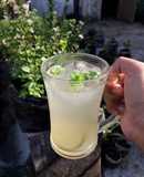 Lime mint squash