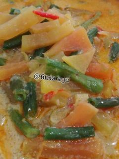 Foto resep Lodeh kacang dan pepaya muda
