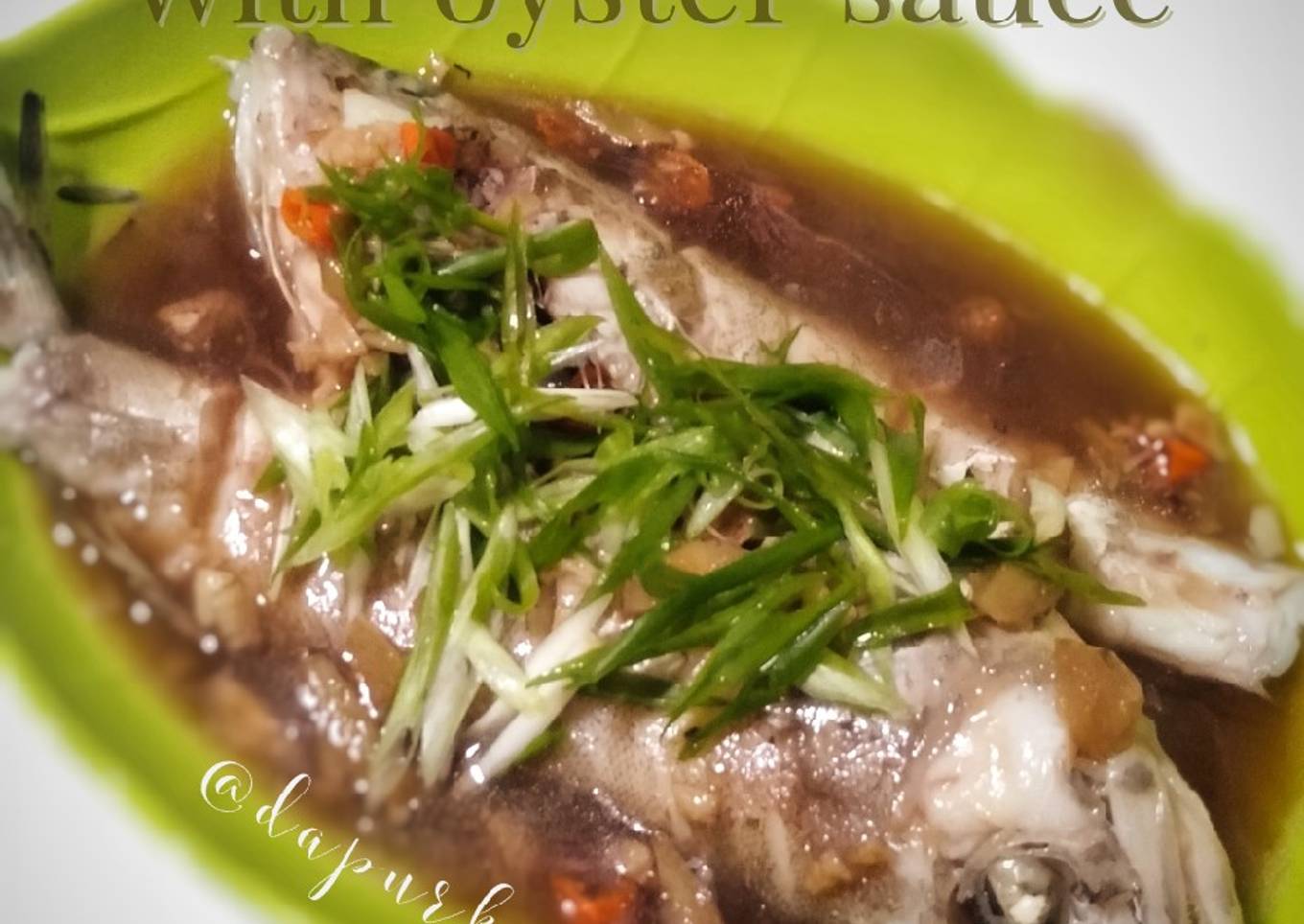 Steamed kerapu with oyster sauce