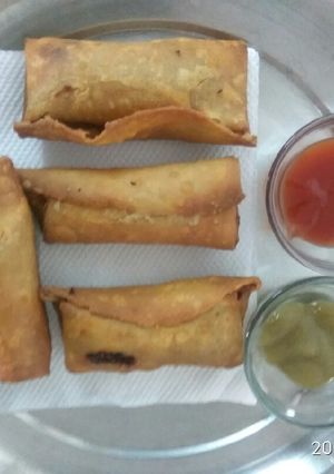 A picture of Veg Paneer spring roll.