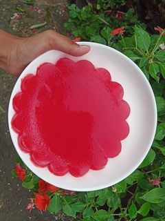 Hình của món Thạch dưa hấu.