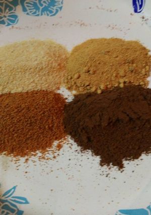 A picture of Gersami Spice.