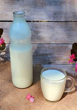 Una foto de 🍶 Yogur bebible en yogurtera, natural sin endulzar - 2 Ingredientes - Sano y económico 🍶