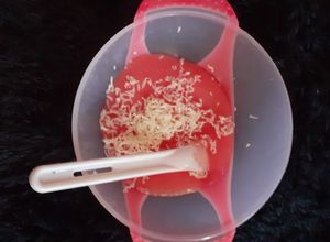 Foto resep Snack Mpasi 7 bln: Pure Jambu Biji Keju