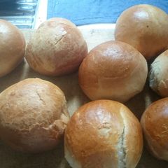 A picture of Buns.