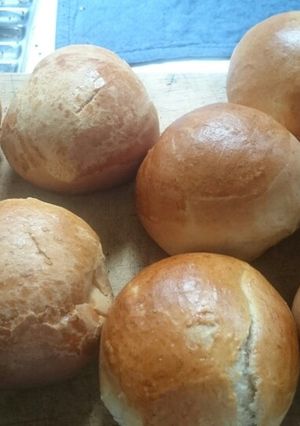 A picture of Buns.