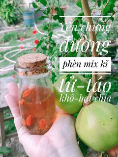 Hình của món Yến chưng đường phèn -kỉ tử -táo-hạt chia.