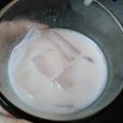 Yoghurt nata de coco