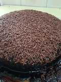 Bolo de chocolate APLV