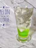 Melon Squash