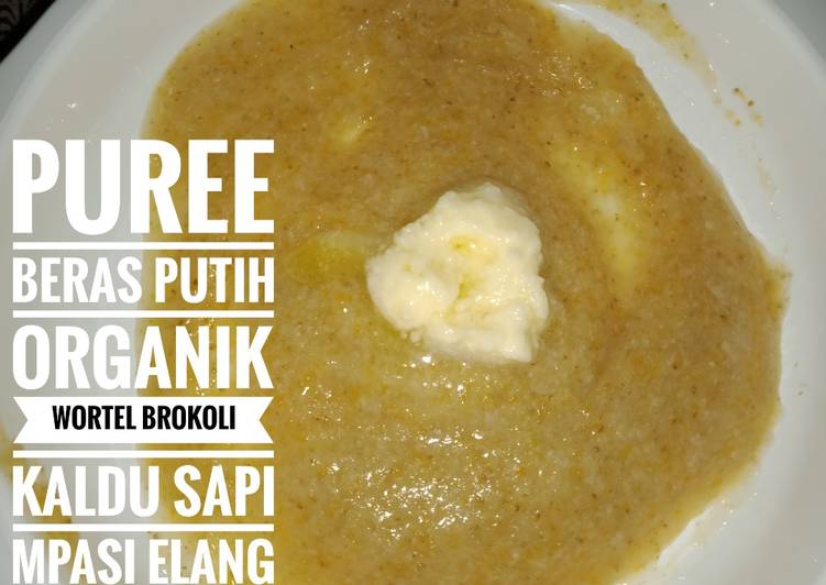 Puree Beras Putih Organik Wortel Brokoli Kaldu Sapi Mpasi Elang Day 18 (dinner)