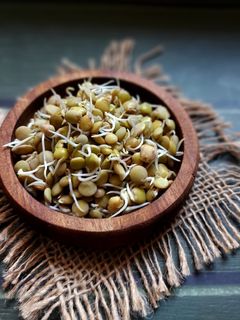 عکسی از دستور جوانه عدس