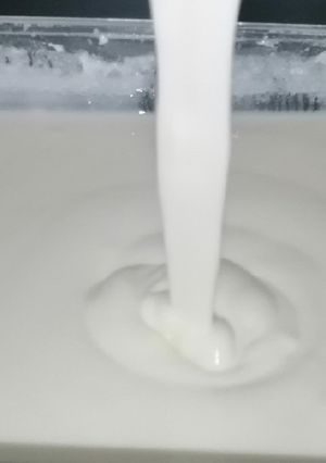 Una foto de Yogurt griego