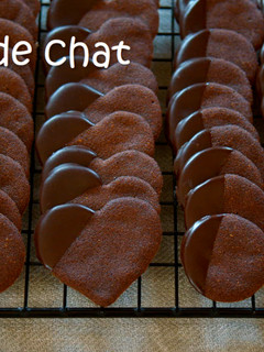 A picture of Cocoa Cookies / Langue De Chat.