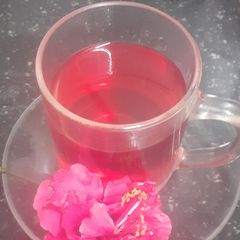 A picture of Aqua de Jamica (Hibiscus tea).