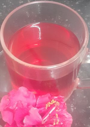 A picture of Aqua de Jamica (Hibiscus tea).