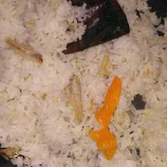 รูปของ Nasi liwet teri rice cooker