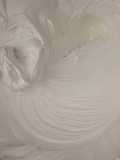 Whipped Cream Buatan Sendiri
