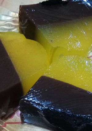 Foto resep Puding nutrisari lapis coklat