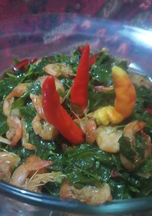 Foto resep Tumis Udang Kelor