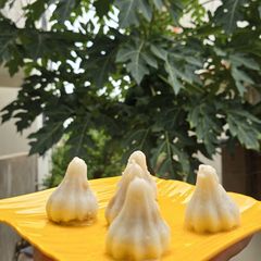 A picture of Ukadiche Modak.