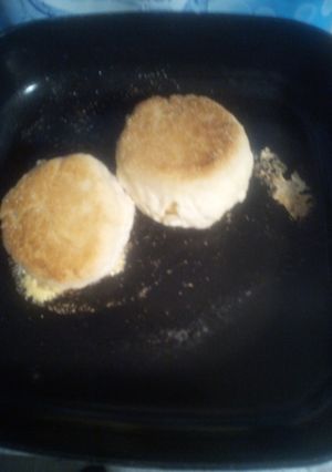 A picture of Biscuit in Corn of Cheese.