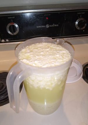 A picture of Fermented milk...maruranu.