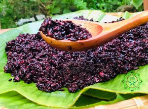 Hình của món Rượu nếp cẩm.