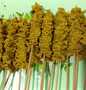 Langkah Mudah untuk Membuat Resep Sate usus ayam yang Sempurna Anti Ribet, Uenak Banget