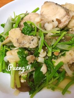 รูปของ ผัดขึ้นฉ่ายขาวไข่ปลา