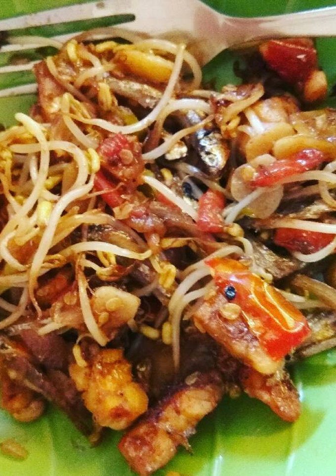 Foto resep Tumis tauge tempe teri