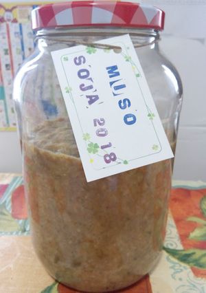 Una foto de Miso casero 2018