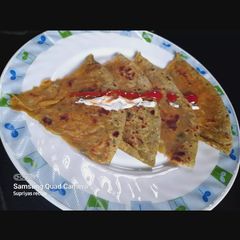 A picture of Palak tofu paratha.