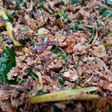Tuna suir