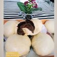 Bakpao coklat